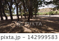 Exploring the Costa Blanca coastline in Benidorm under the trees and natural surroundings 142999583