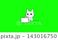 ノートパソコンでキーボード入力する白猫のグリーンバックアニメーション 143016750