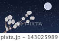 満月と雪が降る夜空に咲く白い梅の花の3D背景素材  143025989
