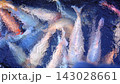 Koi fish move through rippling blue pond water, flashing white and orange as they turn together. This serene underwater scene feels painterly, with fluid motion and bright natural color. 143028661