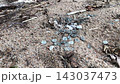 scattering of small silver coins in the ground 143037473