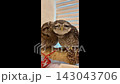 Cute spotted owlets resting on rope perch 143043706