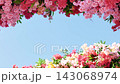 Colorful spring flowers blooming creating a vibrant frame against a clear blue sky 143068974