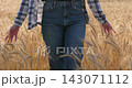 Woman walking through golden wheat field, brushing grain with hands. Summer countryside scene evokes freedom, nature and harvest. Close-up footage supports farming, wellness and travel stories. 143071112