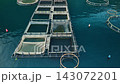 Aerial View of Floating Aquaculture Fish Cages in Perast, Montenegro 143072201