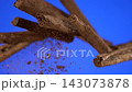 Slow motion of sticks falling and breaking apart 143073878
