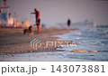 Walking with a dog along the beach at sunset 143073881