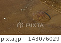 Gentle shoreline wave washing over sandy beach with scattered shell fragments and clear shallow water 143076029