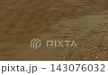 Shallow muddy water surface with gentle ripples and small shells along natural shoreline 143076032