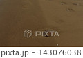 Small jellyfish resting on wet beach sand beside footprints and subtle ripples 143076038