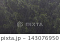 Heavy rain with trees in background, stormy weather, falling rain drops, no people 143076950