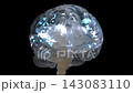 Brain digital color. Neuron connections. Futuristic medical technology concept. Animation on Black background and Green Screen. 3D Render. 143083110