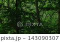 A train running through a forest 143090307
