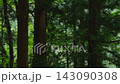 A train running through a forest 143090308