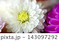 Colorful Red Autumn Flowers Blooming In Natural Garden Closeup 143097292