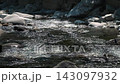 Slow-motion footage of shaded alpine water moving past stones near cliff on summer day 143097932