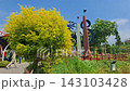 Bright yellow tree in sunny park with abstract art installations and clear blue sky 143103428