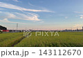 海老名的鄉村景色：電線、稻田小路，還有飄浮的秋雲橫跨藍天。 143112670