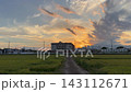 黃昏時的海老名：一條鄉村公路橫穿稻田，天空佈滿美麗的雲彩，沐浴在落日餘暉中。 143112671