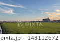 黃昏時的海老名：遠處的公路和居民區，柔和的夕陽灑在稻田上。 143112672