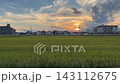 黃昏時的海老名：一片原始的鄉村風光，夕陽西下，稻稈搖曳。 143112675