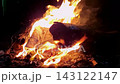 Warm campfire burning wood logs brightly at night, creating a cozy and inviting atmosphere 143122147
