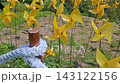 Bright yellow pinwheels spinning in a vibrant green field with a rustic rope fence post. 143122156