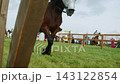 Low angle perspective captures strong hooves of brown charger treading over turf beside wooden tournament barrier with medieval encampment tents visible in distance. 143122854