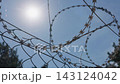 Razor Barbed Wire Fence Coils Under Bright Sun in Low Angle 143124042