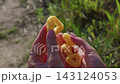 Female Hands Holding Crunchy Corn Rings in Slow Motion Outdoors 143124053