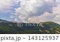 clouds flowing above forested mountain ridge at summer day 143125937