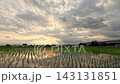 Cloud time-lapse, beautiful rural scenery 143131851