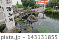 The Yuutama Pond, a natural monument, features crystal-clear spring water. 143131855