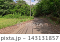 Riding a motorcycle on a forest road in early summer 143131857