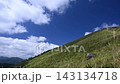 ススキが揺れる秋の青空のタイムラプス 143134718