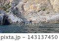 People swim in secluded sea cove beneath dramatic rock formations, enjoying wild swimming in open water. Swimmers rest near cavern entrance as bright woodland crowns rugged coastal cliffs 143137450