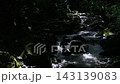 木漏れ日に照らされる川 143139083
