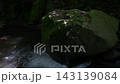 木漏れ日に照らされる苔むした岩 143139084