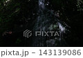 木漏れ日に照らされる小滝 143139086