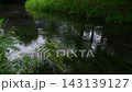 清流のせせらぎ 143139127