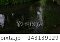 清流のせせらぎ 143139129