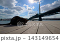 Silhouette stray cat eating near Halic Metro Bridge Istanbul 143149654