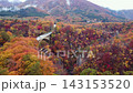 Aerial drone footage of the autumn foliage at Naruko Gorge and the Ofukazawa Bridge in Miyagi Prefecture. 143153520