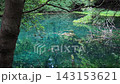 山形縣湯座町的丸池池閃耀著翠綠的光芒。 143153621