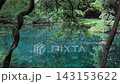 山形縣湯座町的丸池池閃耀著翠綠的光芒。 143153622