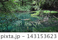 山形縣湯座町的丸池池閃耀著翠綠的光芒。 143153623