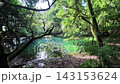 山形縣湯座町的丸池池閃耀著翠綠的光芒。 143153624