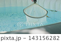 Cleaning Leaves from Swimming Pool with Skimmer Net 143156282