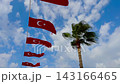 Vertical Turkish flags with palm tree in wind 143166465