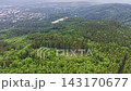High aerial view showing dense mixed forest canopy with conifer and deciduous trees, rocky clearing near lower center, distant ridge, and small town fading beneath soft overcast sky 143170677